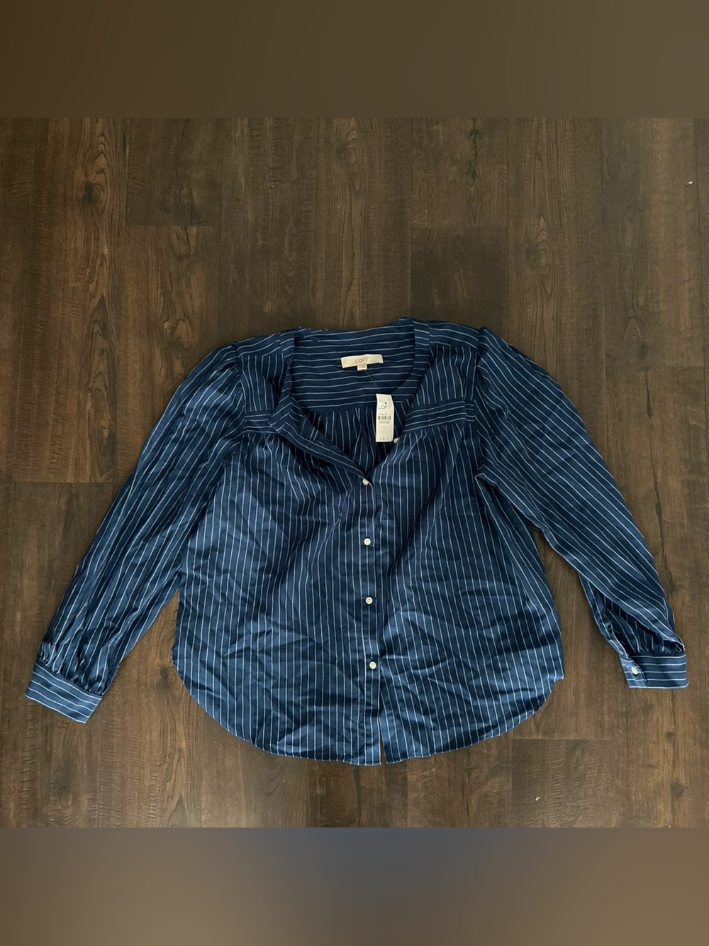 Loft 100% cotton top NWT